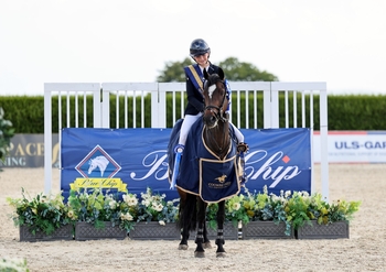 On-form Emily Gulliver jumps to victory in the Blue Chip Pony Newcomers Second Round at Coombelands Equestrian